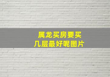 属龙买房要买几层最好呢图片