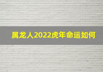 属龙人2022虎年命运如何