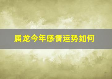 属龙今年感情运势如何