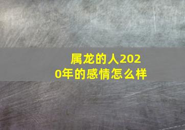 属龙的人2020年的感情怎么样