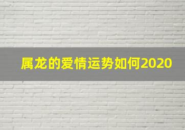 属龙的爱情运势如何2020