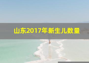 山东2017年新生儿数量