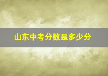 山东中考分数是多少分