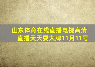 山东体育在线直播电视高清直播天天耍大牌11月11号