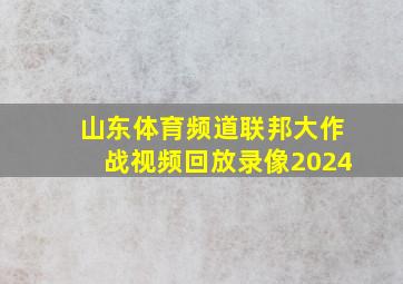 山东体育频道联邦大作战视频回放录像2024