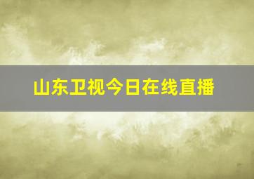 山东卫视今日在线直播