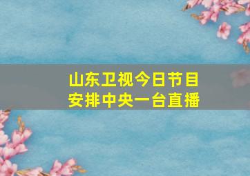 山东卫视今日节目安排中央一台直播