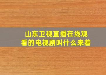 山东卫视直播在线观看的电视剧叫什么来着