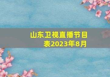 山东卫视直播节目表2023年8月