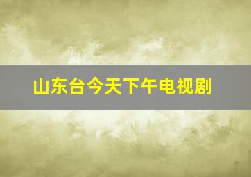 山东台今天下午电视剧