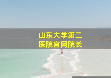 山东大学第二医院官网院长