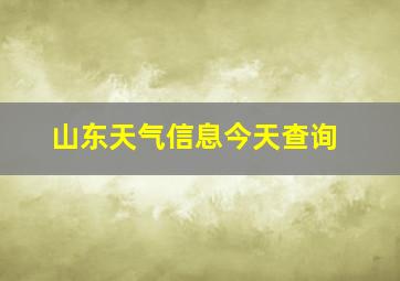 山东天气信息今天查询