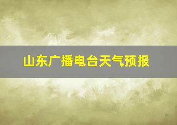 山东广播电台天气预报