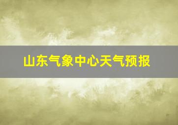 山东气象中心天气预报