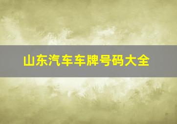 山东汽车车牌号码大全