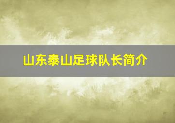 山东泰山足球队长简介