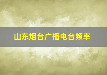 山东烟台广播电台频率