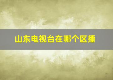 山东电视台在哪个区播