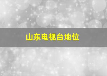 山东电视台地位