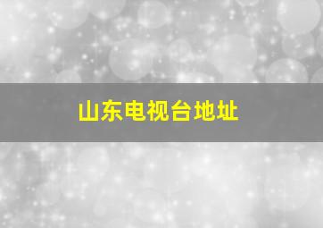 山东电视台地址