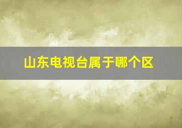 山东电视台属于哪个区