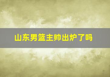 山东男篮主帅出炉了吗