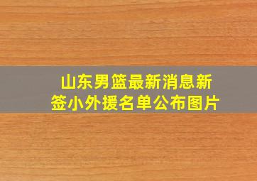 山东男篮最新消息新签小外援名单公布图片