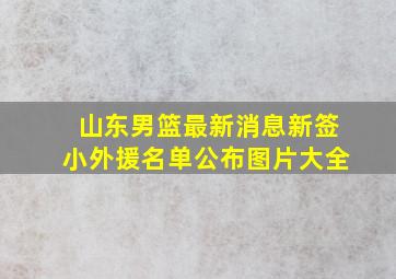 山东男篮最新消息新签小外援名单公布图片大全