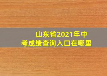 山东省2021年中考成绩查询入口在哪里