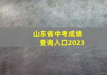 山东省中考成绩查询入口2023