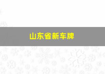 山东省新车牌