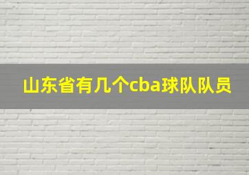 山东省有几个cba球队队员