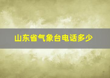 山东省气象台电话多少