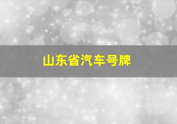 山东省汽车号牌