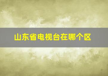 山东省电视台在哪个区