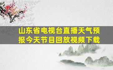 山东省电视台直播天气预报今天节目回放视频下载