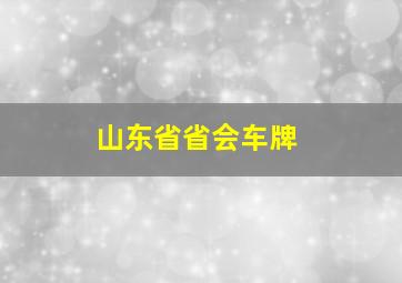 山东省省会车牌