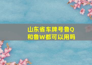 山东省车牌号鲁Q和鲁W都可以用吗