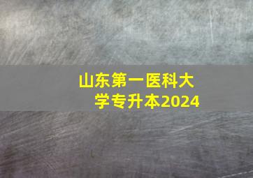 山东第一医科大学专升本2024