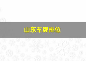 山东车牌排位