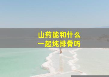 山药能和什么一起炖排骨吗