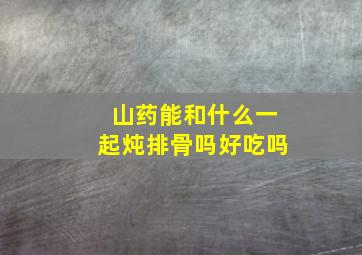 山药能和什么一起炖排骨吗好吃吗