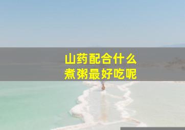 山药配合什么煮粥最好吃呢