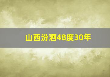 山西汾酒48度30年