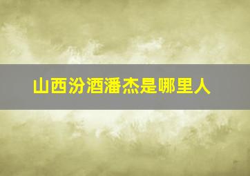 山西汾酒潘杰是哪里人