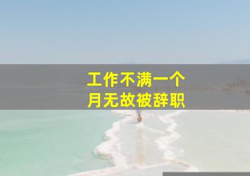 工作不满一个月无故被辞职