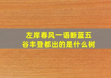 左岸春风一语断蓝五谷丰登都出的是什么树