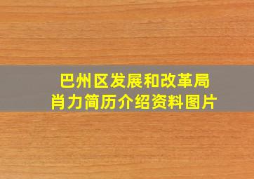 巴州区发展和改革局肖力简历介绍资料图片