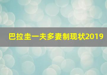 巴拉圭一夫多妻制现状2019