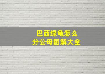 巴西绿龟怎么分公母图解大全